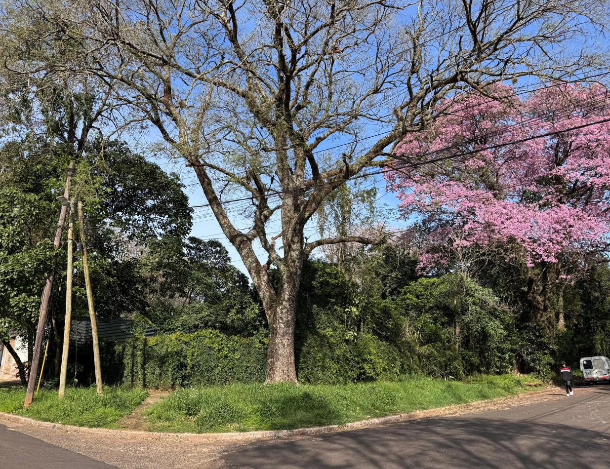 Venta Lote en Esquina zona Urquiza y 115 